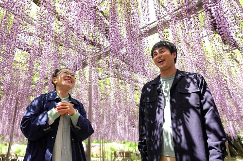 麗しのガーデン散歩 春らんまん！植物愛いっぱいの２時間スペシャル