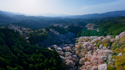 国際共同制作「日本　色彩の大地」春編　
※「春編」「夏編」を続けて放送